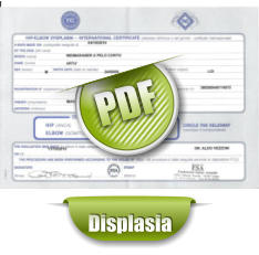 PDF Displasia