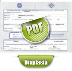 PDF Displasia